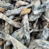 makilla gorilla mushroom​