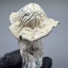 gandalf mushroom